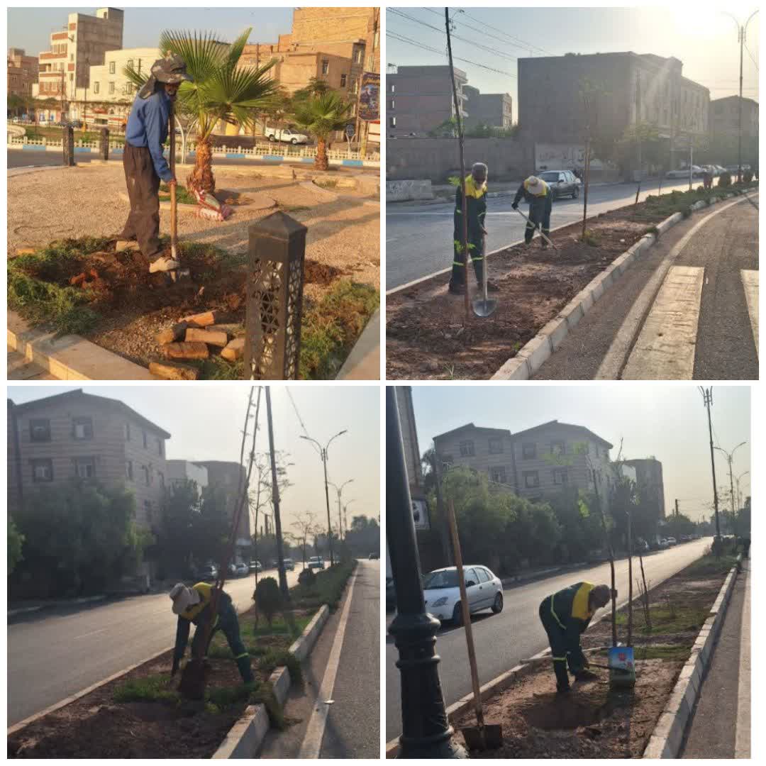 تداوم کاشت درخت در معابر شهری فرون آباد