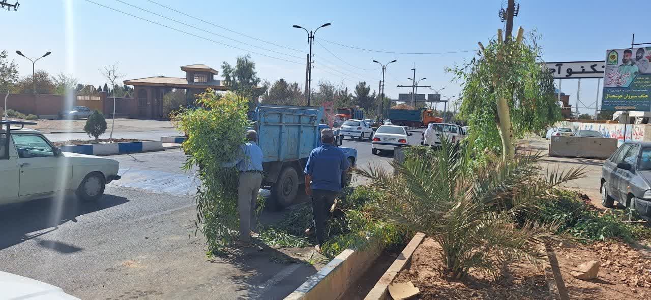  سرپرست شهرداری خبر داد؛ آغاز عملیات هرس پاییزی درختان سطح شهر فرون آباد