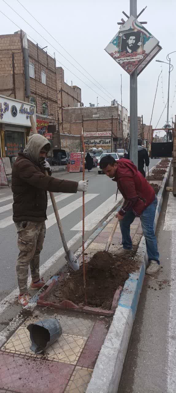  کاشت درخت در معابر شهری فرون آباد آغاز شد