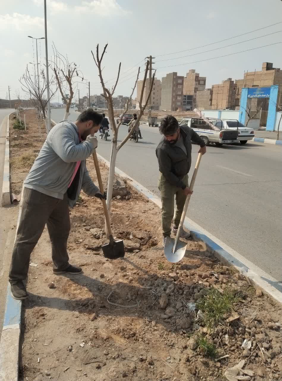  عملیات واکاری فضای سبز در شهر فرون آباد آغاز شد