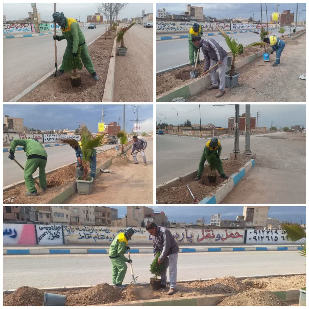 کاشت درخت در معابر شهری فرون آباد اجرا شد