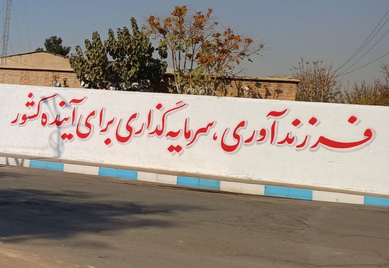 شهردار فرون آباد خبر داد؛ دیوار نویسی با موضوع جوانی جمعیت انجام شد