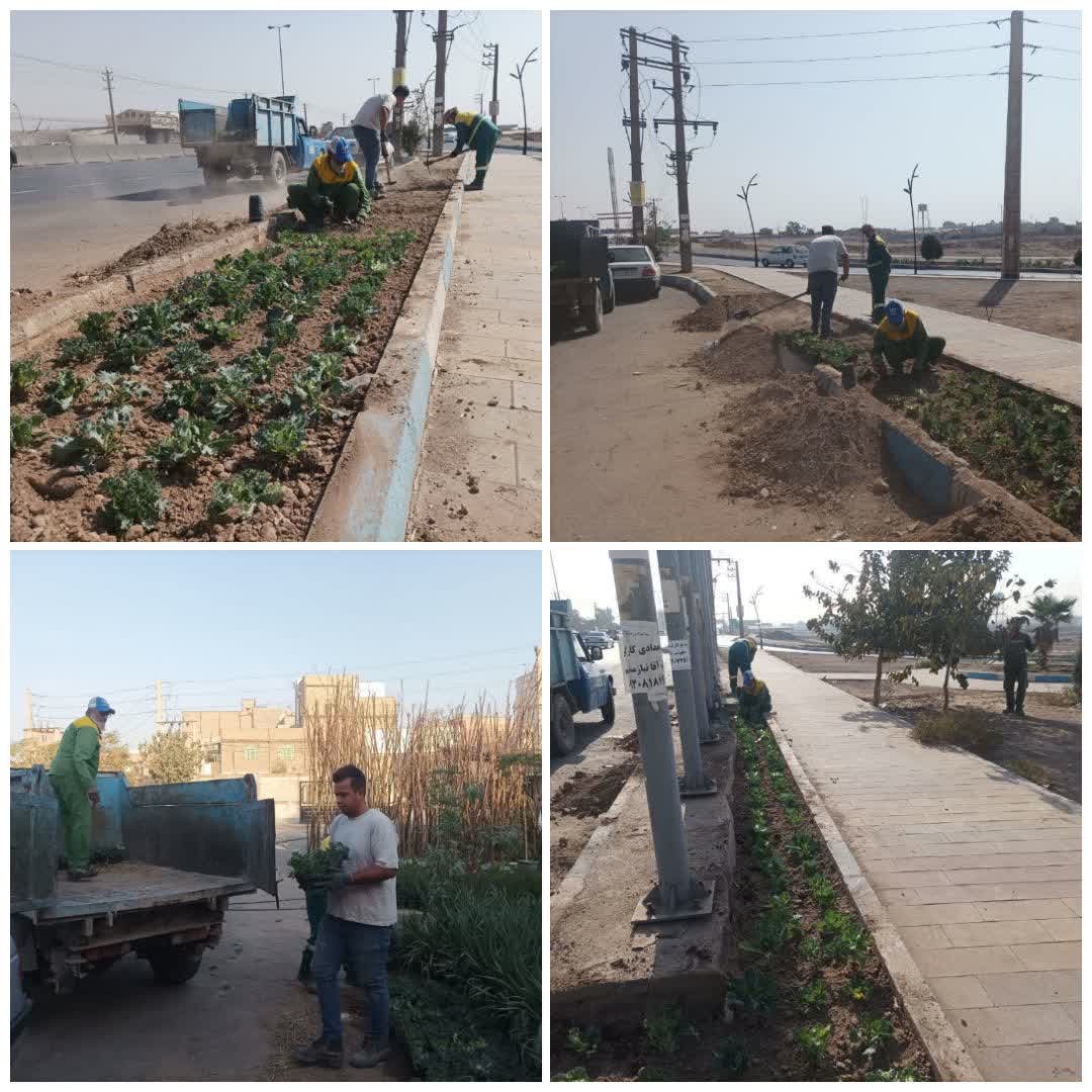 کاشت گل و گیاه در معابر شهر