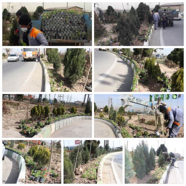 آغاز عملیات کاشت گل و گیاه ورودی شهر فرون آباد